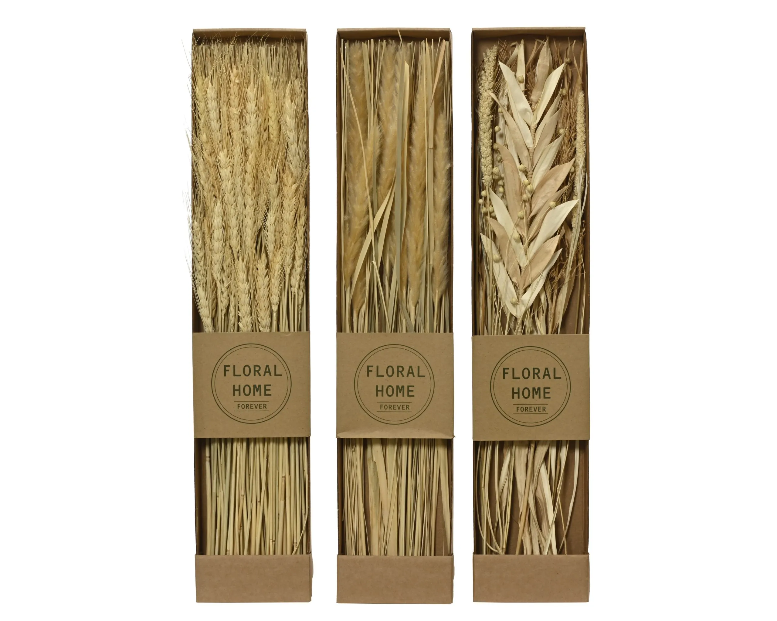 Kunstblume DRIED 454566