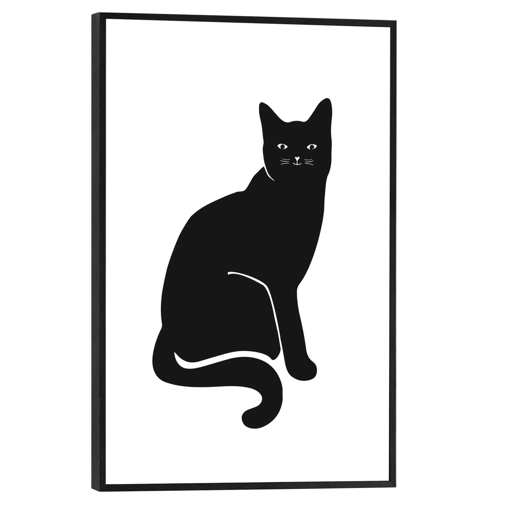 Bild BLACK CAT 583308