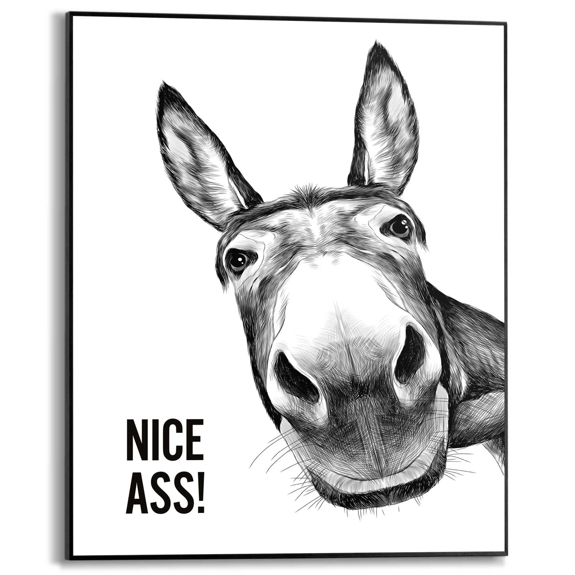 Bild NICE ASS 583315