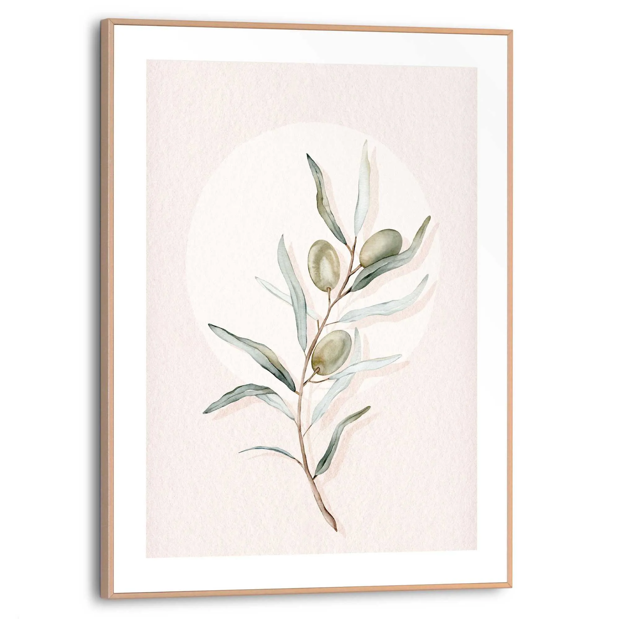 Bild CIRCLE OLIVES 583351