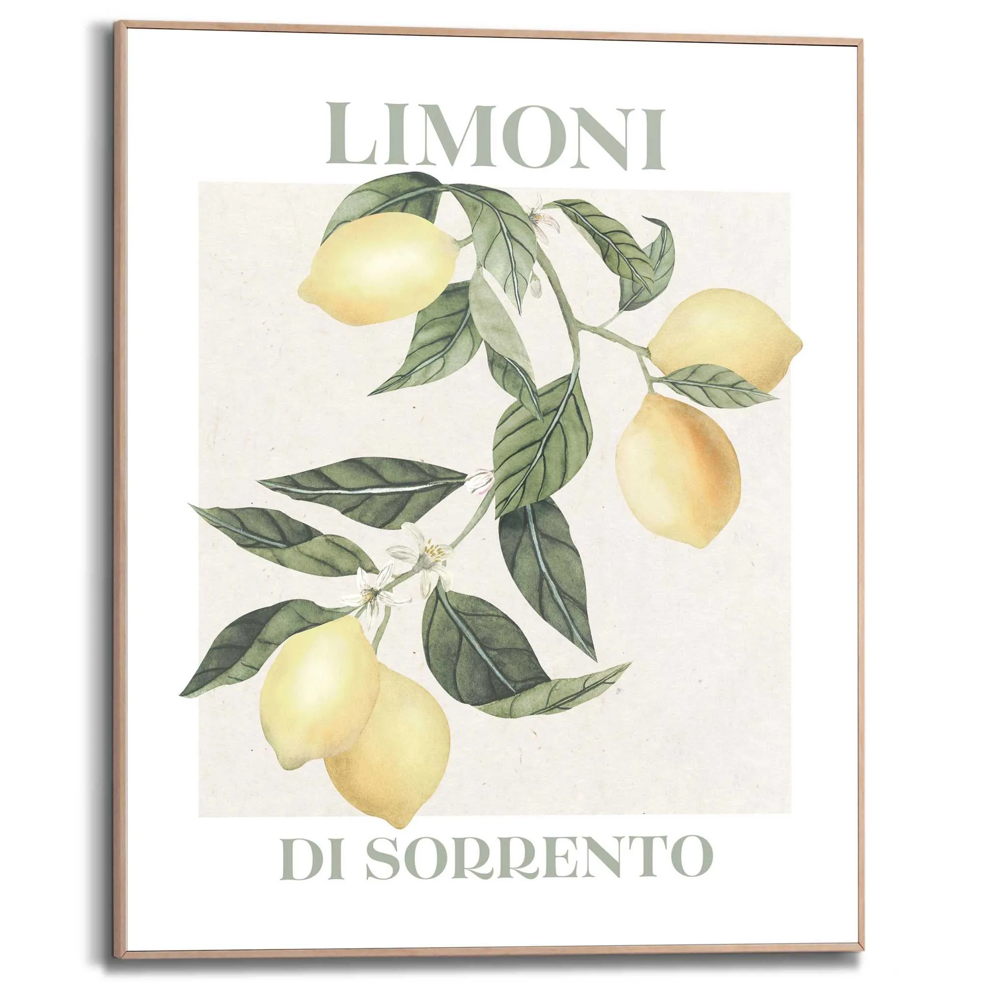 Bild LIMONI 583379