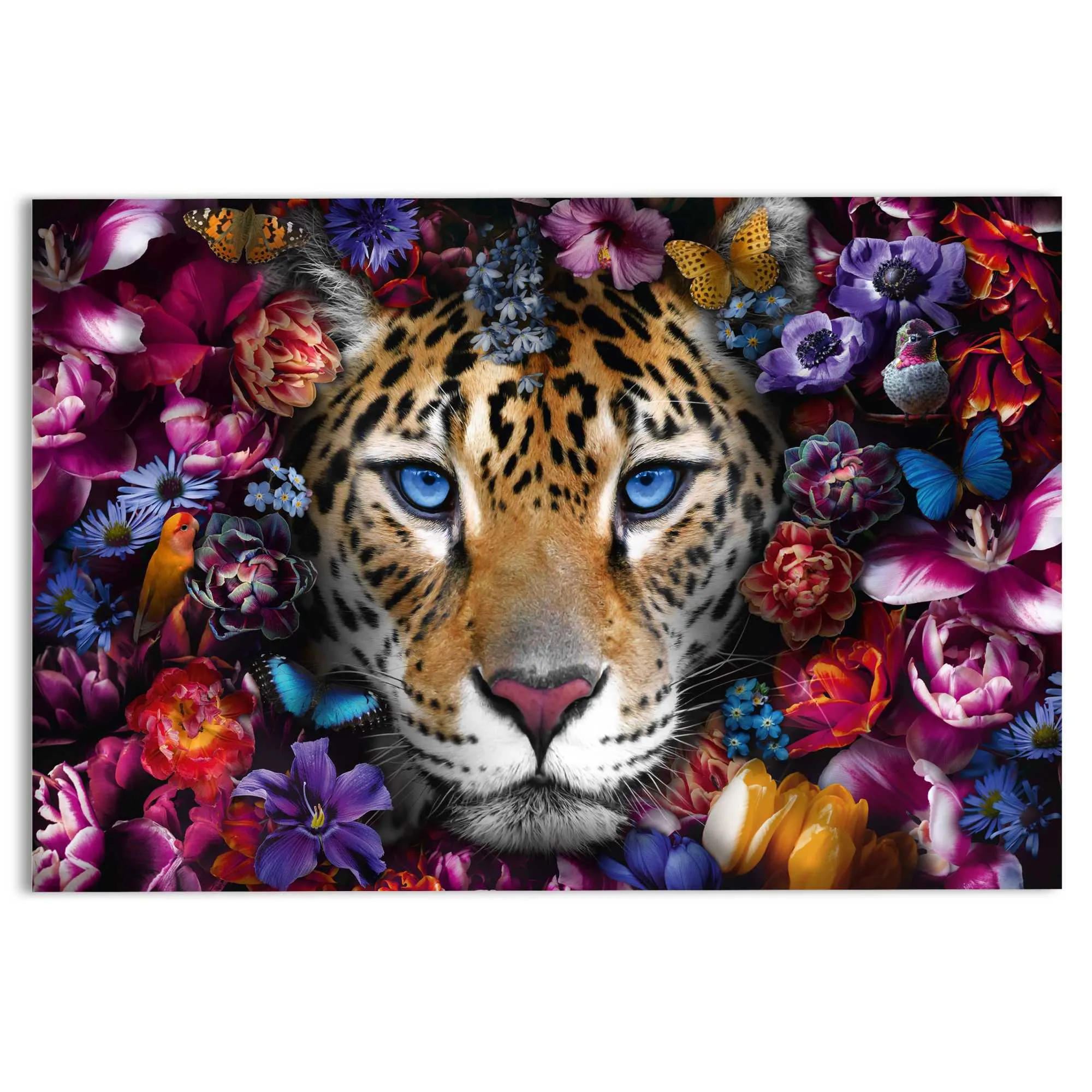 Glasbild POWER CAT 583395