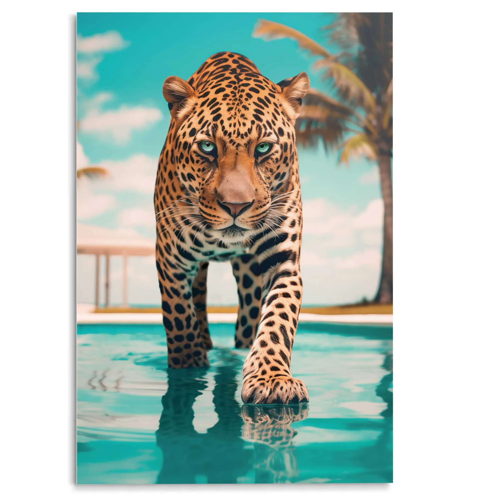 Glasbild POOL TIGER 583397