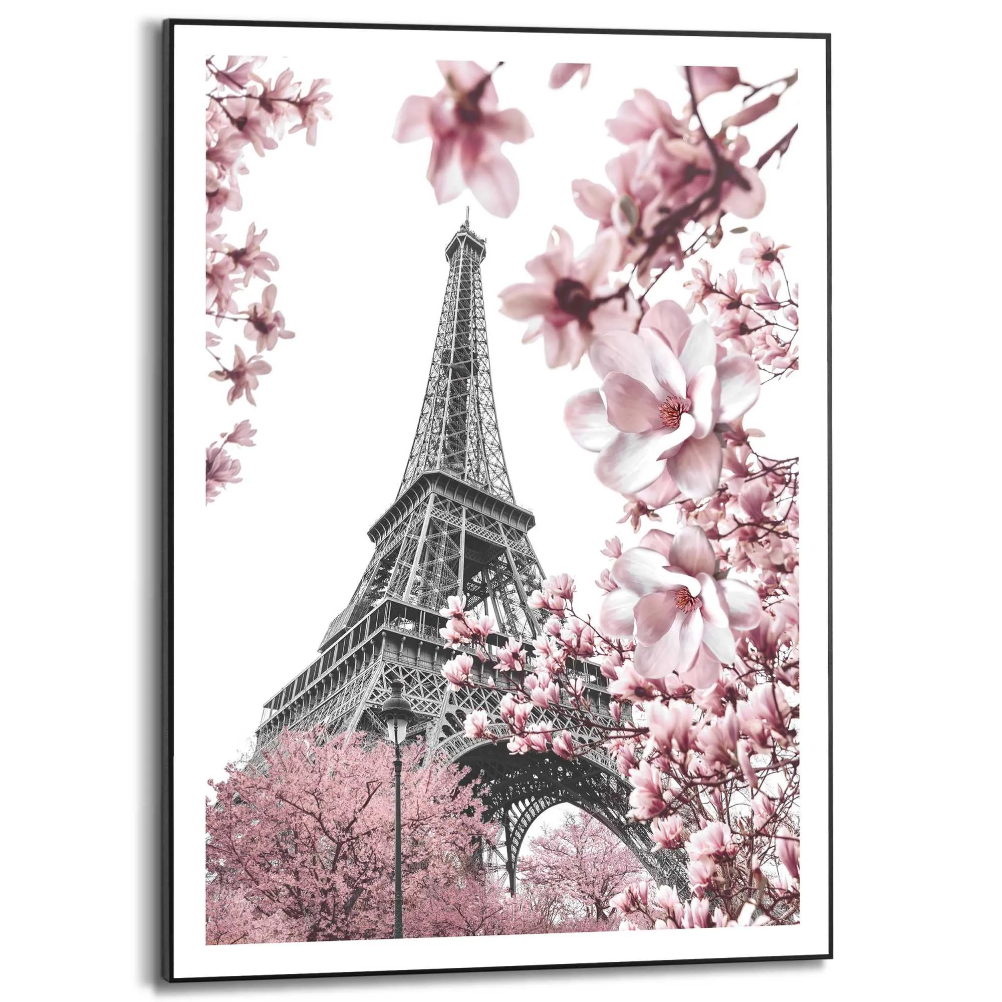 Bild SPRING IN PARIS 583404