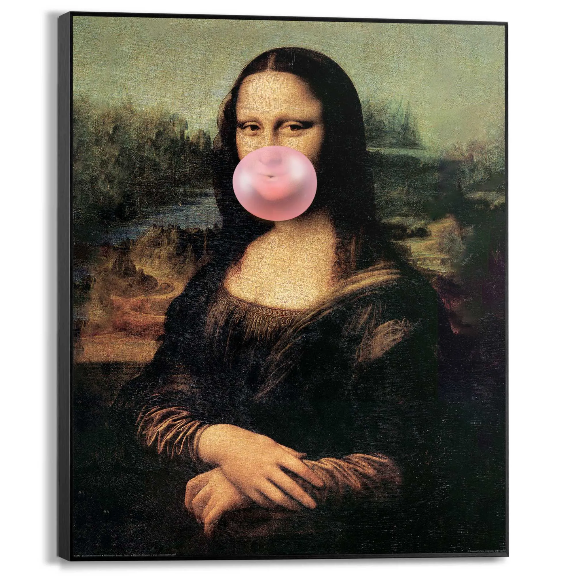 Bild MONA LISA 583461