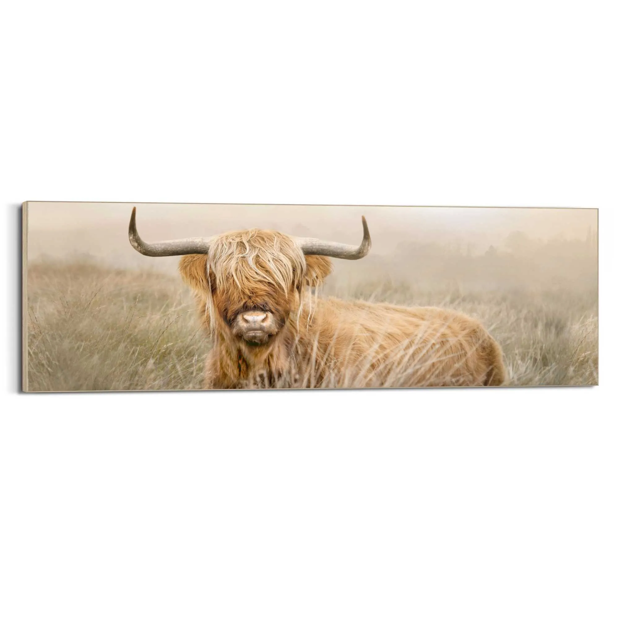 Bild HIGHLANDER NATURE 583604