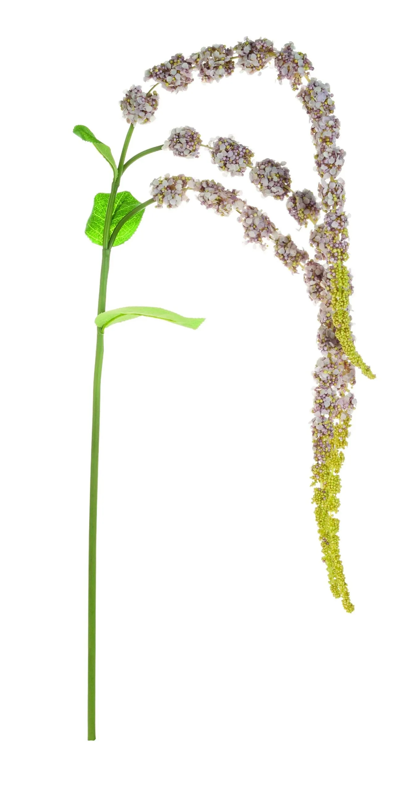 Kunstblume AMARANTHUSZWEIG 605574