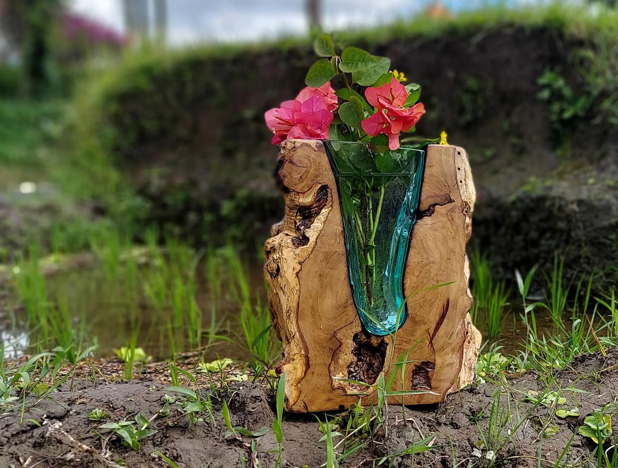 Glasvase 'Keris' auf Holz, H 30 cm, B 20 cm, L 8,5 cm