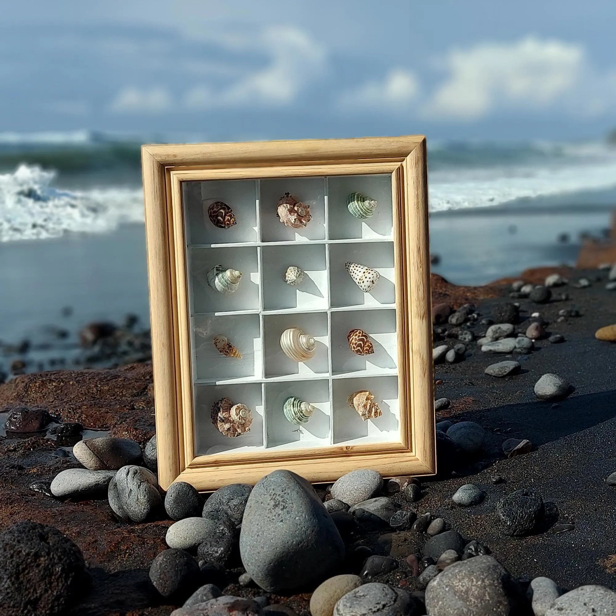 Holzschaukasten '3x4 Muscheln', H 35 cm, B 27 cm, L 5,5 cm