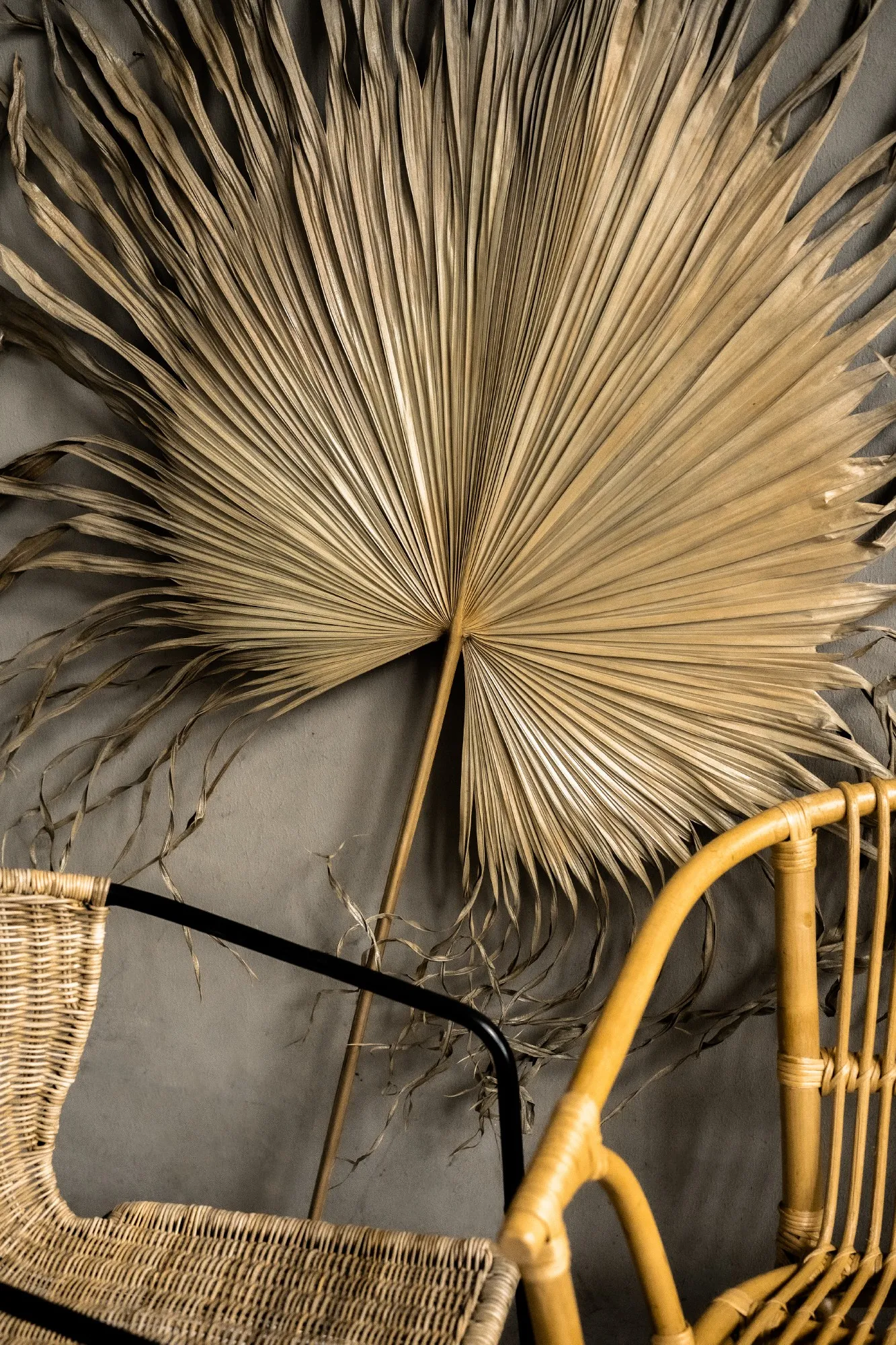 Palmenblatt natur, H 120 cm, B 60 cm