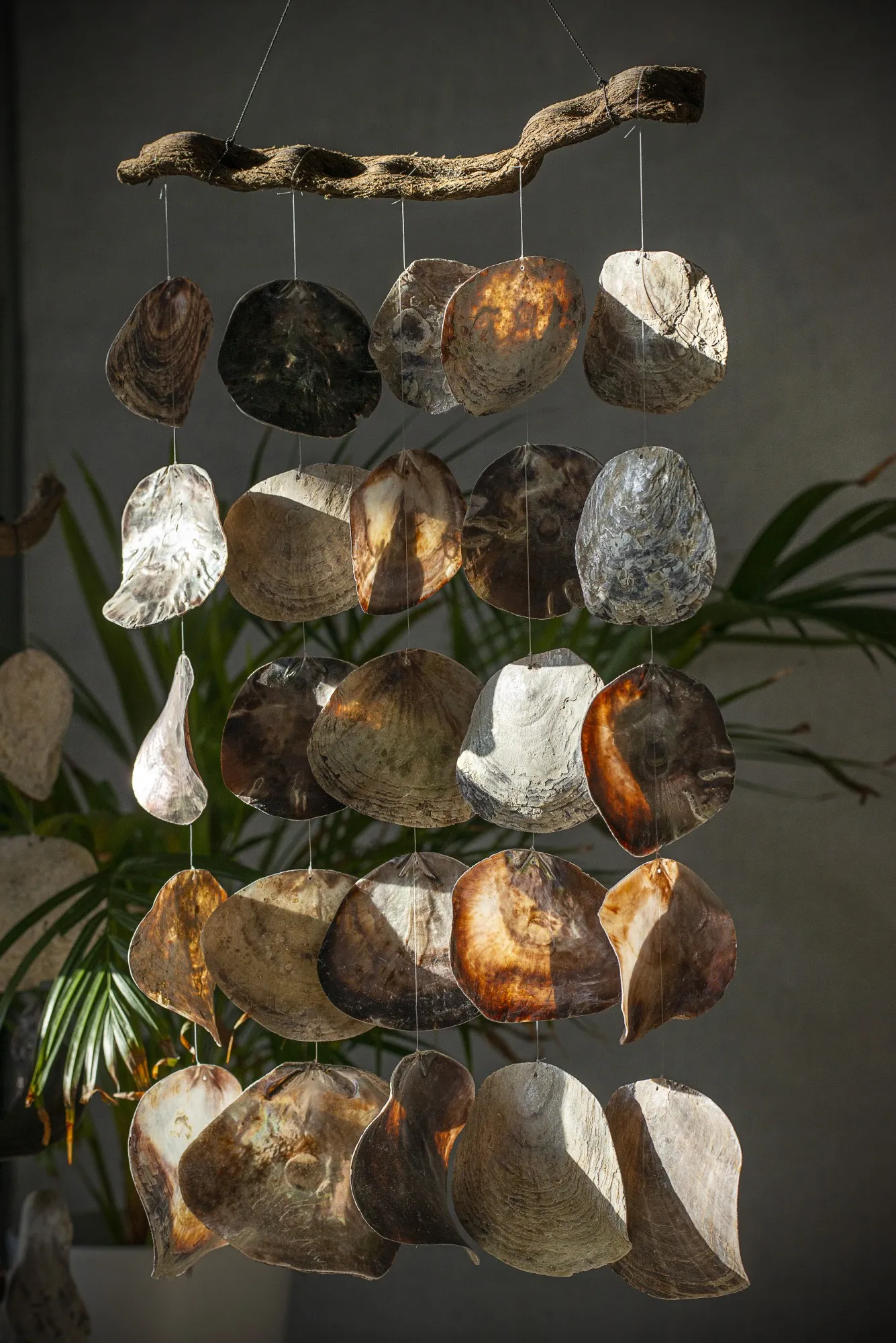 Windspiel mit Muscheln, H 90 cm, B 35 cm, L 3 cm