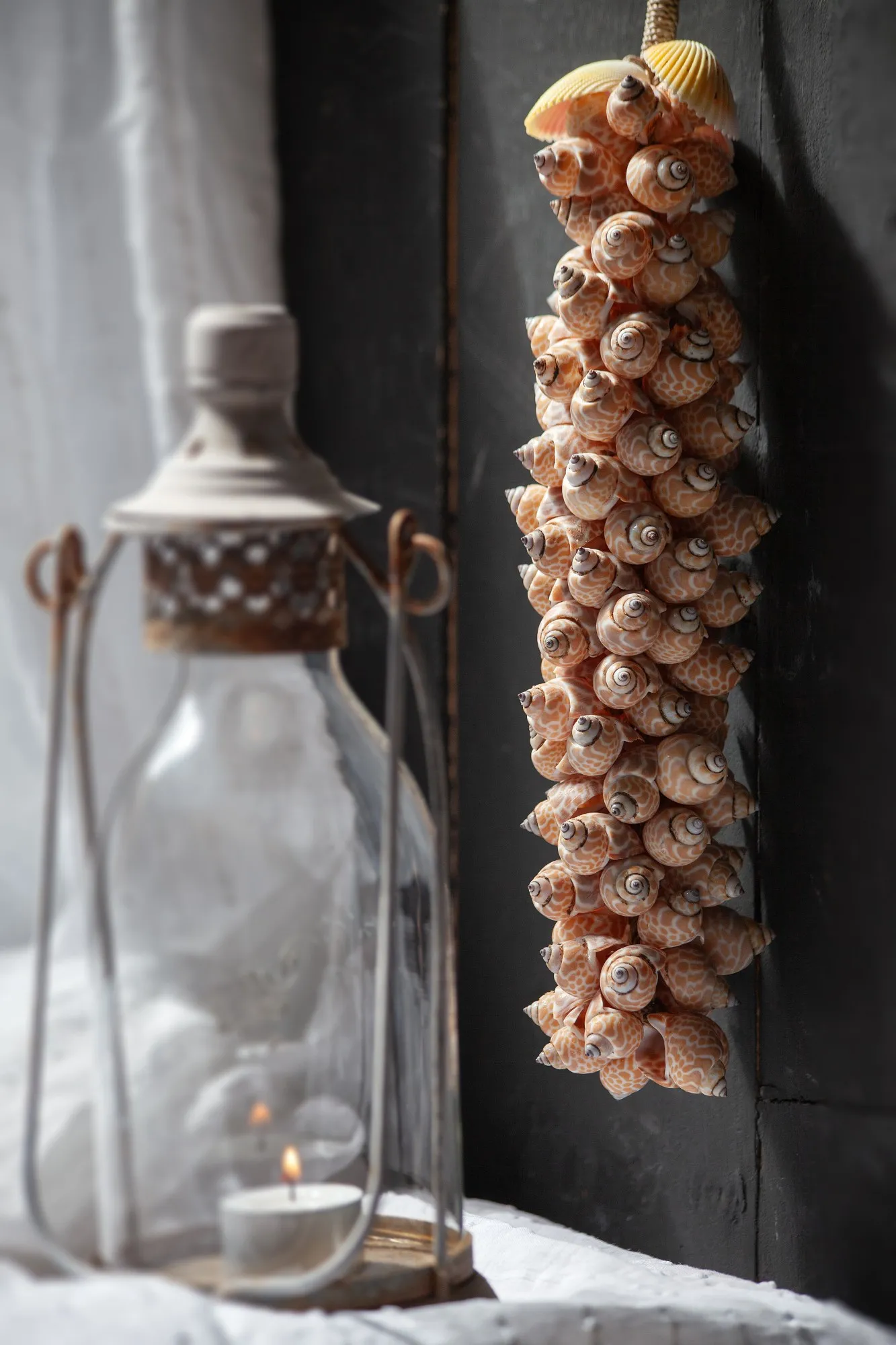 Muschel-Aufhänger, H 36 cm, Ø 6 cm