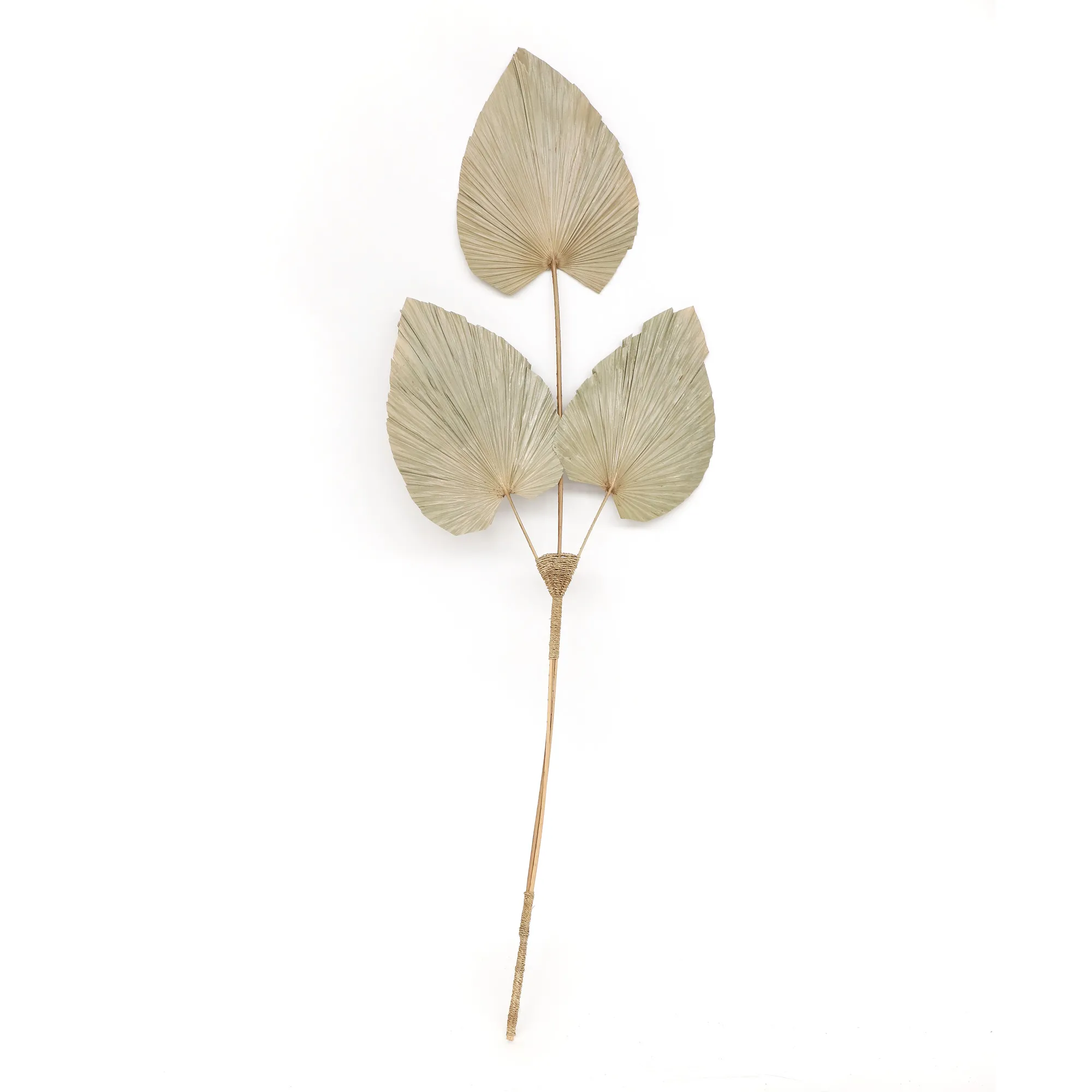 Palmenblatt-Trio, natur, H 120 cm, B 55 cm