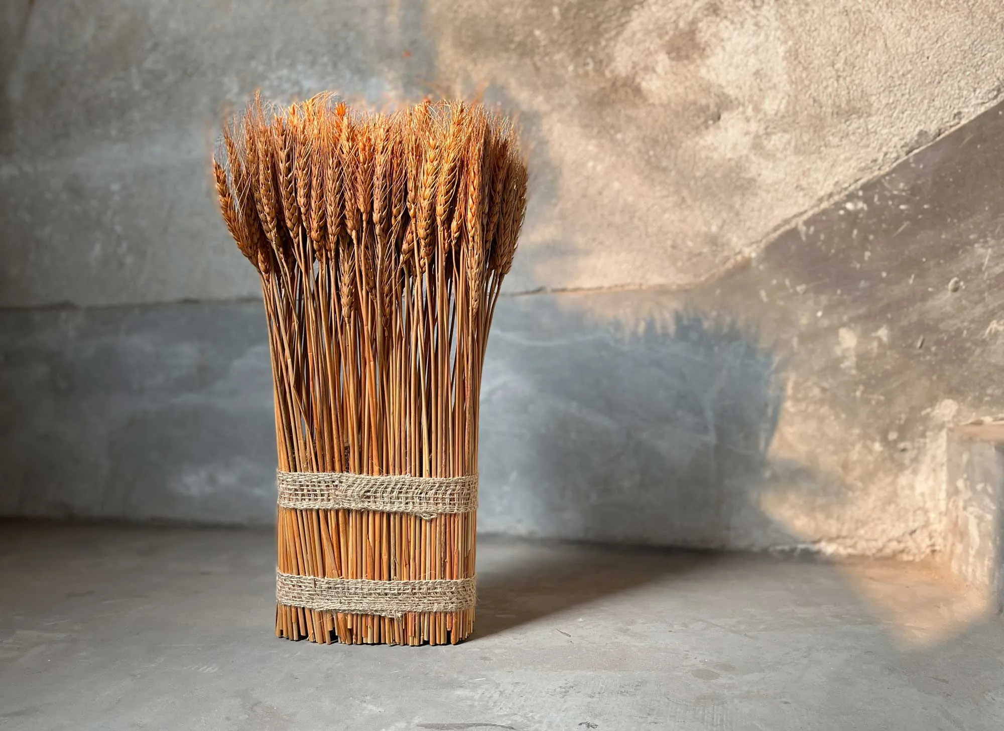 Weizengarbe aus echtem Weizen, H 45 cm, B 17 cm, L 5 cm