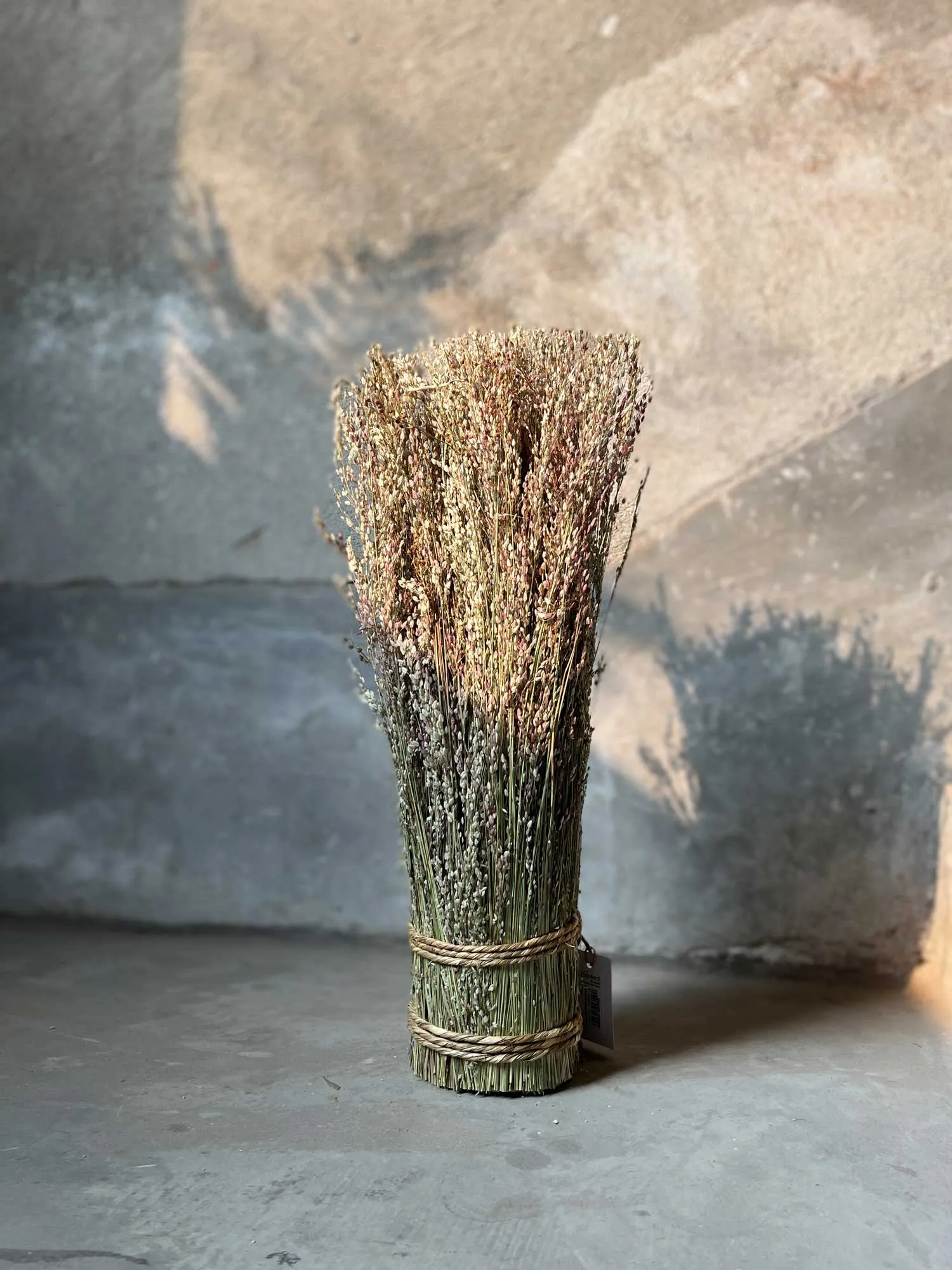 Chinesisches Liebesgras-Garbe, H 40 cm, Ø 9 cm