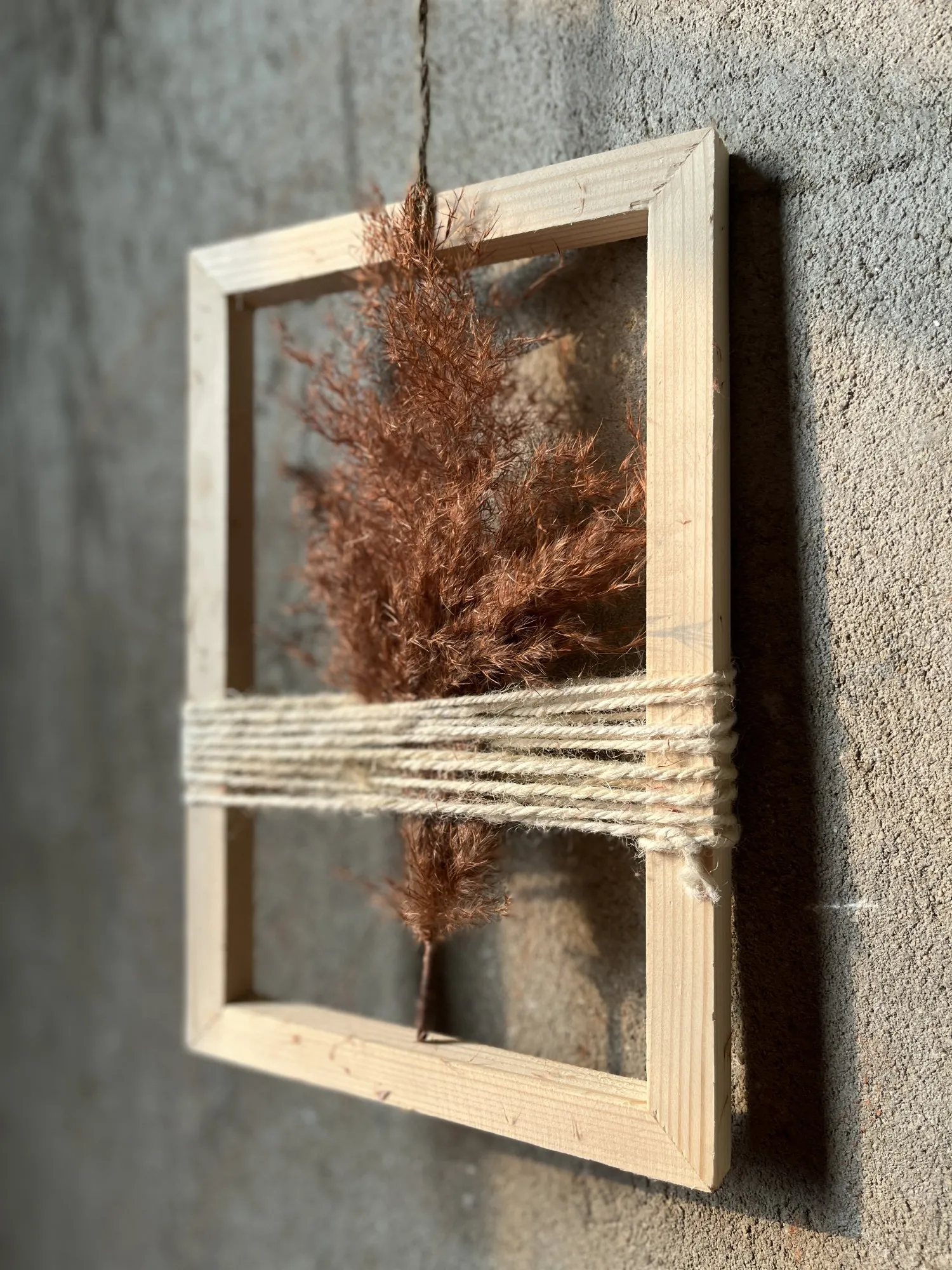 Wildes Zuckerrohr in Holzrahmen, H 30 cm, B 20 cm