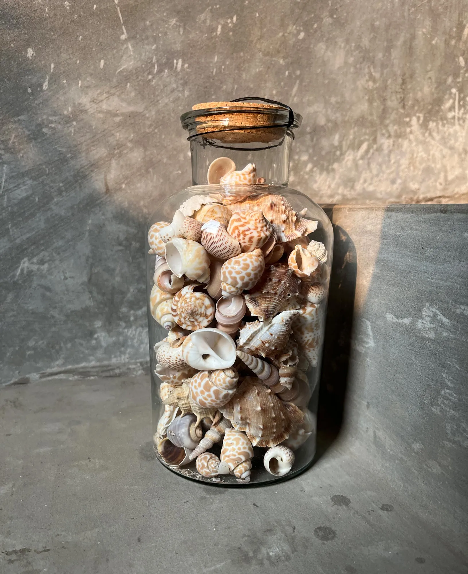 Muschelmix in Glasflasche, H 20 cm, Ø 10 cm