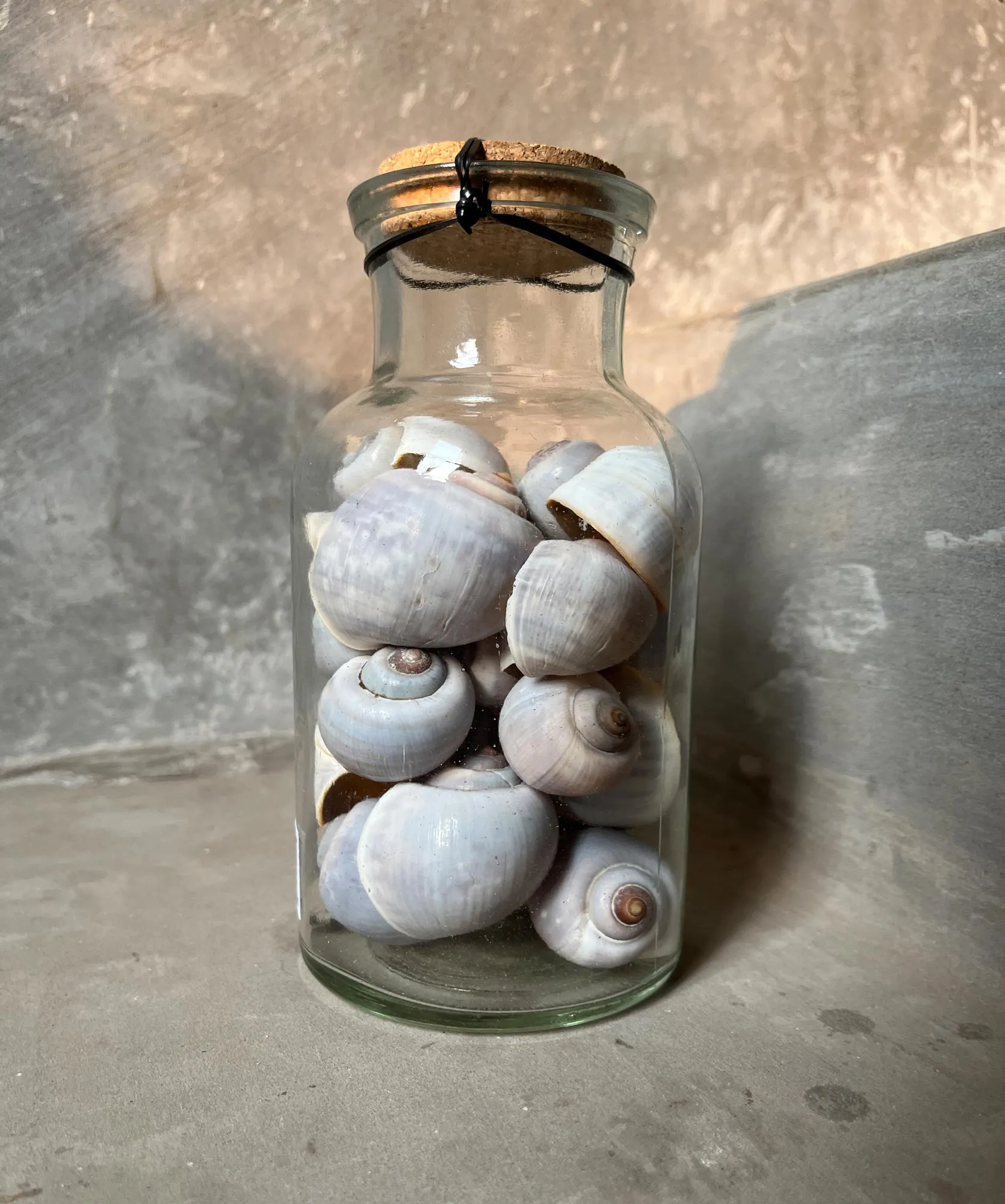 Muschelmix in Glasflasche, H 17 cm, Ø 8,5 cm