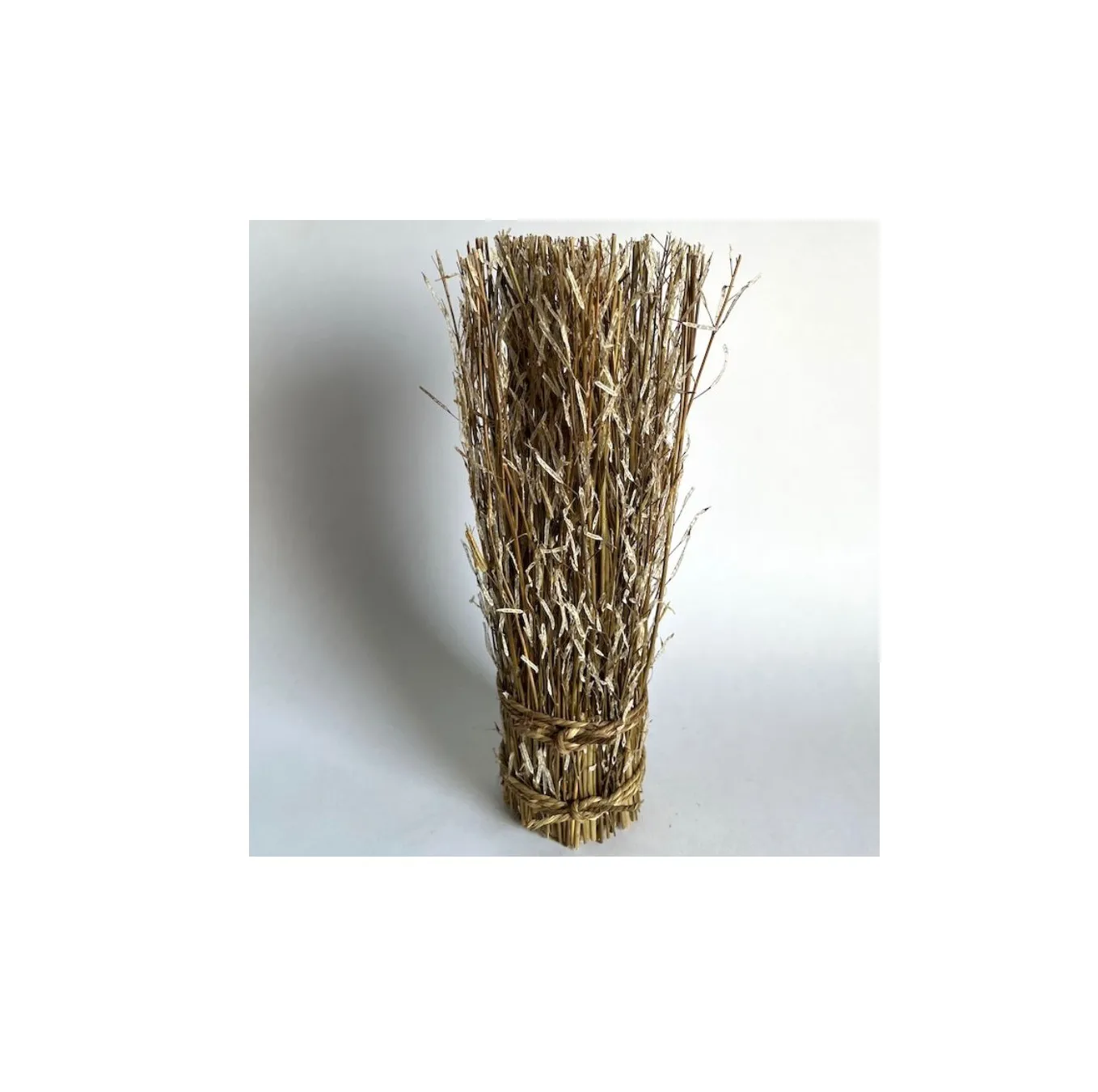 Garbe echtes Senfgras, H 40 cm, Ø 9 cm