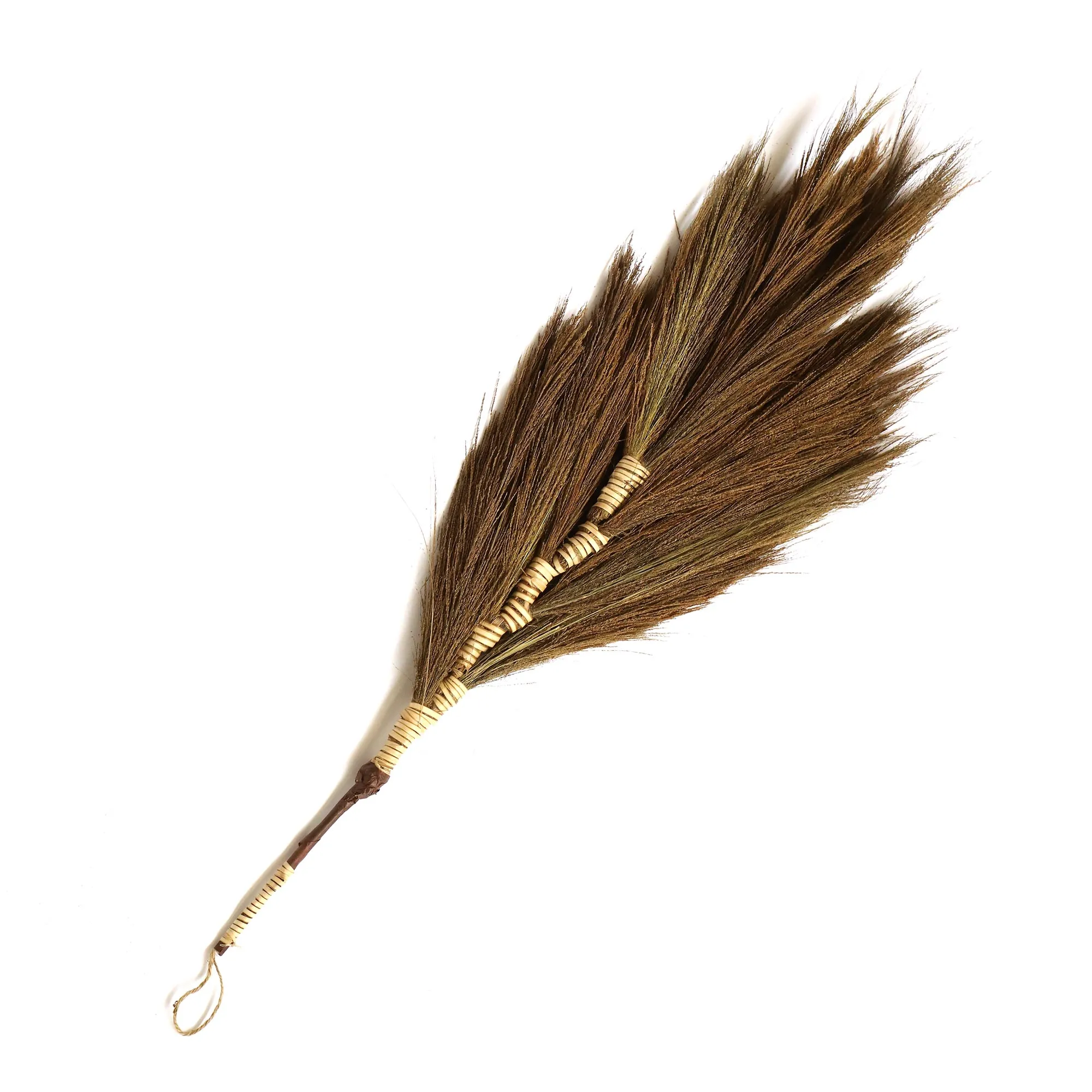 Edelginster gebunden, H 100 cm