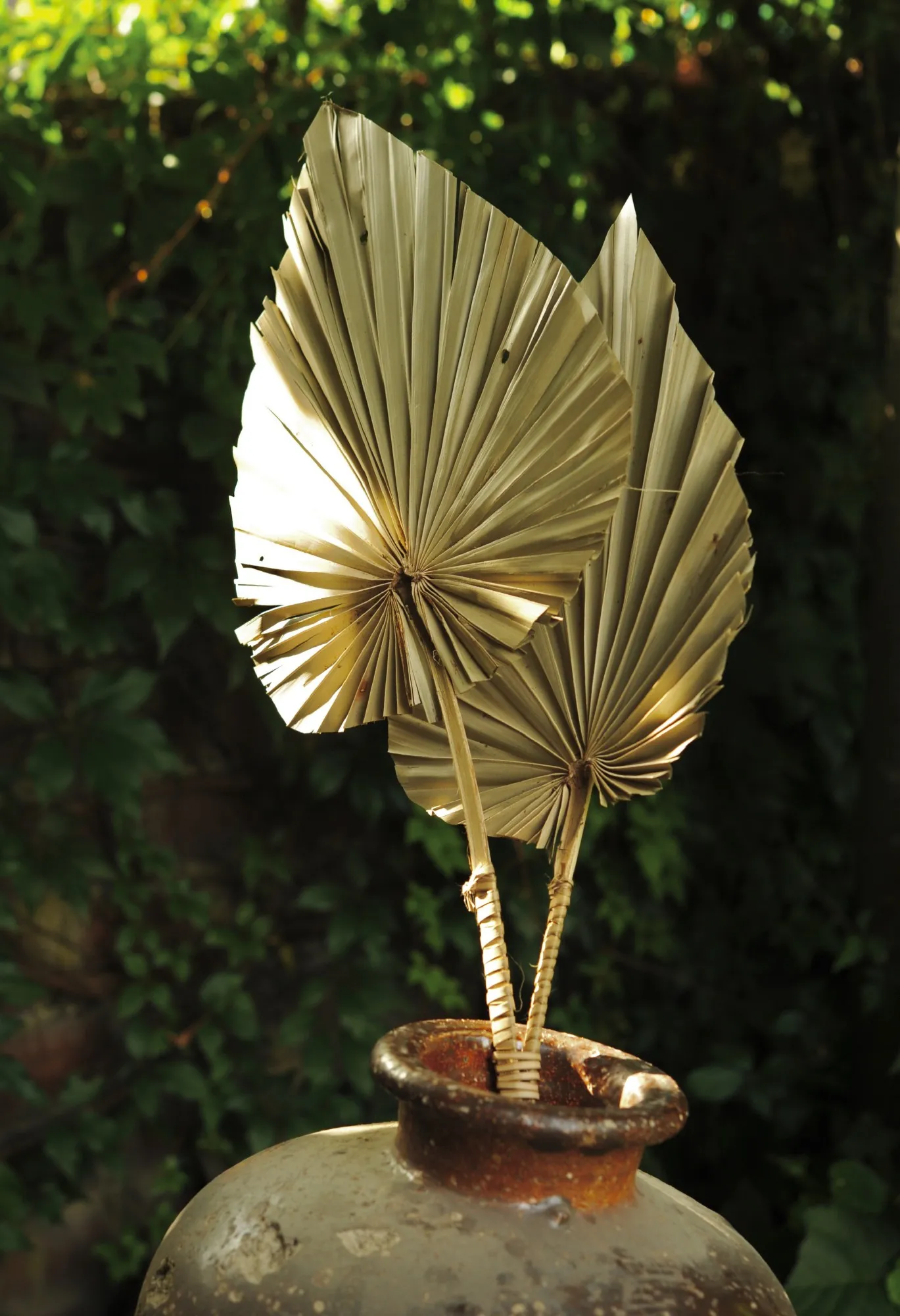 Palmyra-Palmwedel-Duo, H 100 cm