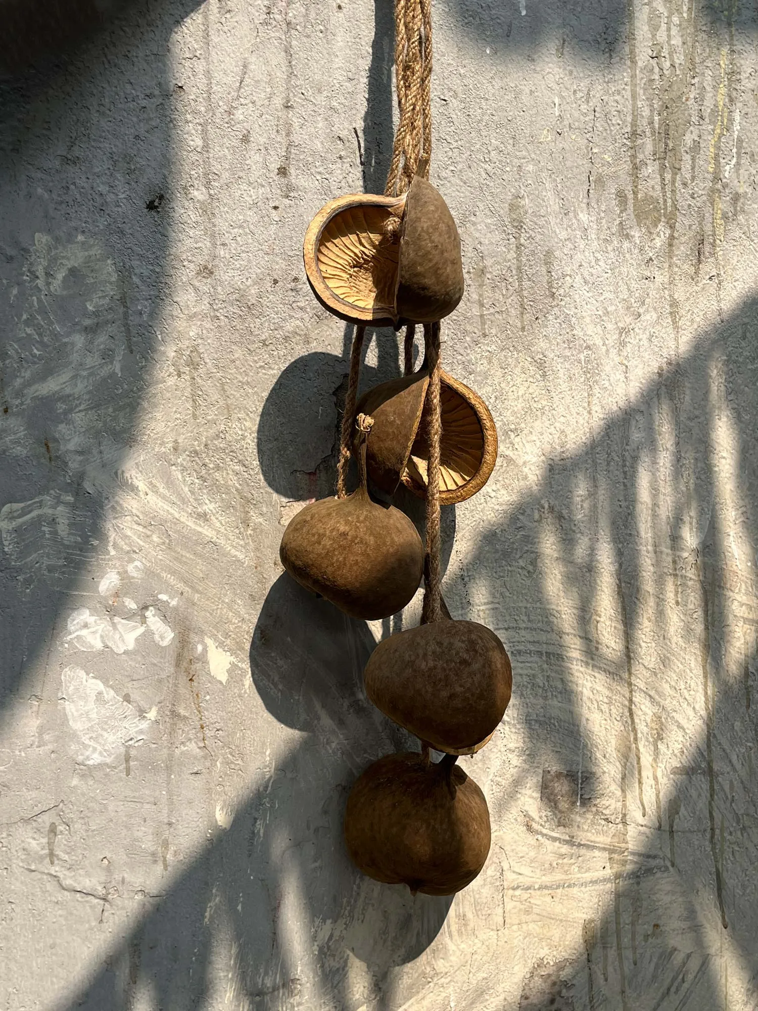 Buddha-Nussschalen, H 80 cm