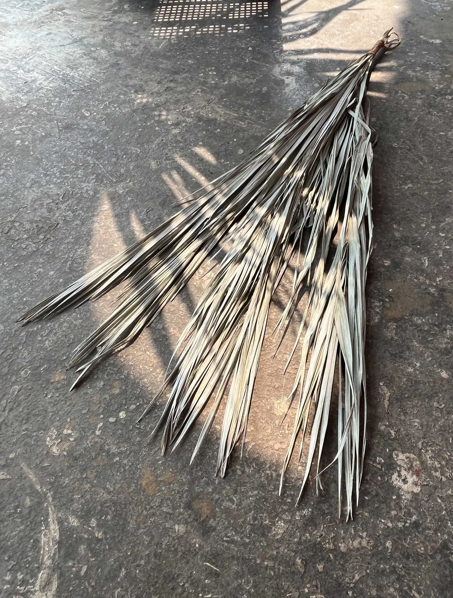 Silberne Dattelpalmblätter gebunden, H 110 cm