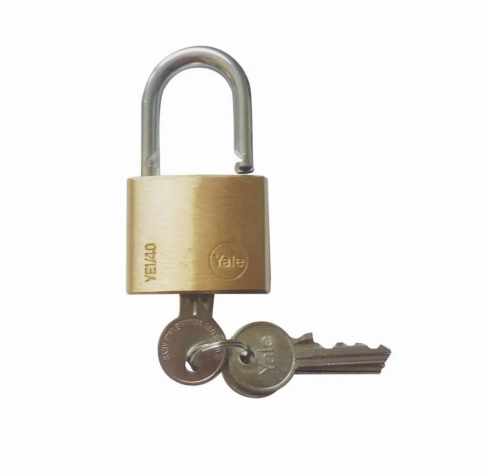 Vorhängeschloss | 0,06 cm Bügelstärke| 2 Schlüssel | passend zu Schließfach Seahorse