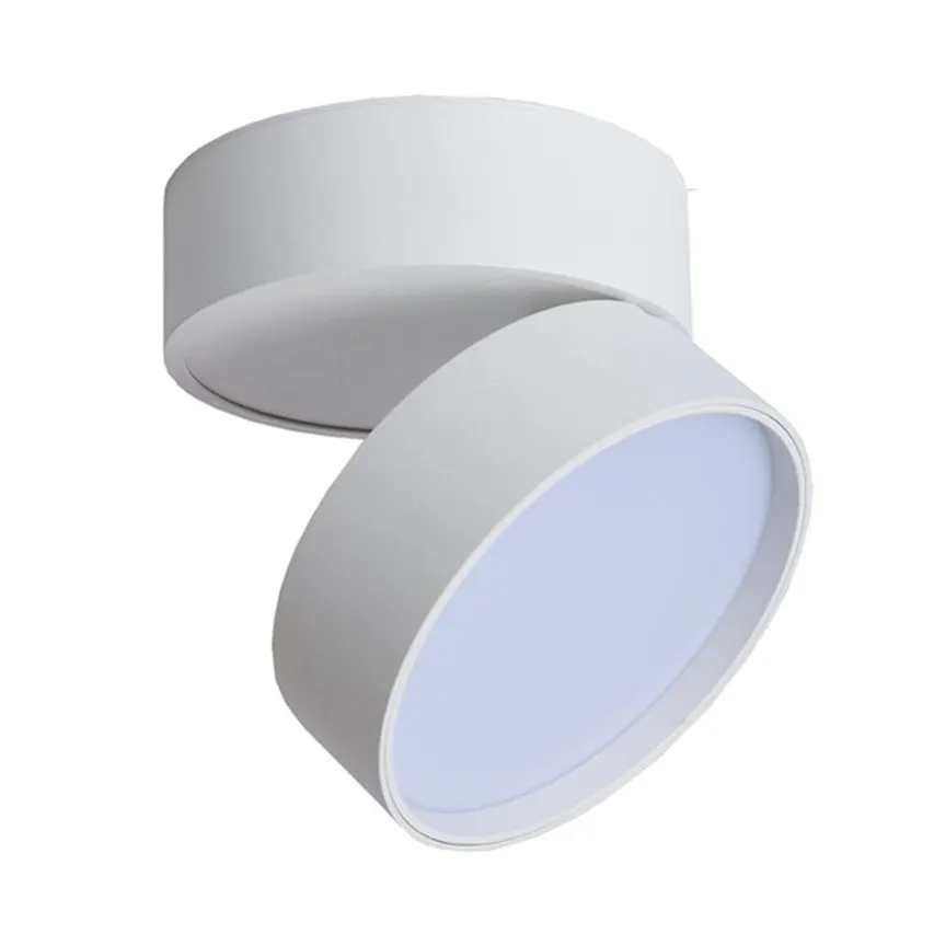 Deckenleuchte URBAN Downlight warm colour 18W DALI