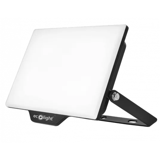 Flutlicht NL-2 50W 6500K IP65