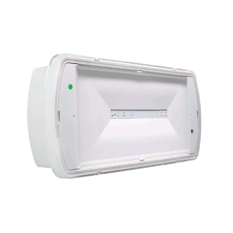 Sicherheitsleuchte SL2MNM42D3C3A SafeLite,MNM,IP42,100lm,3H +Satz von 3 Piktogrammen