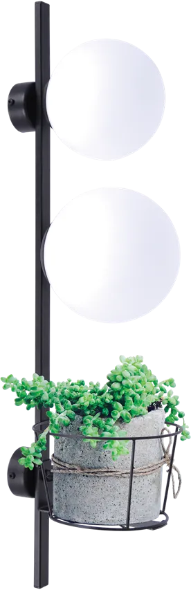 Wandleuchte PLANT 1xE14, 1xE27 Schwarz 5002 Zuma Line
