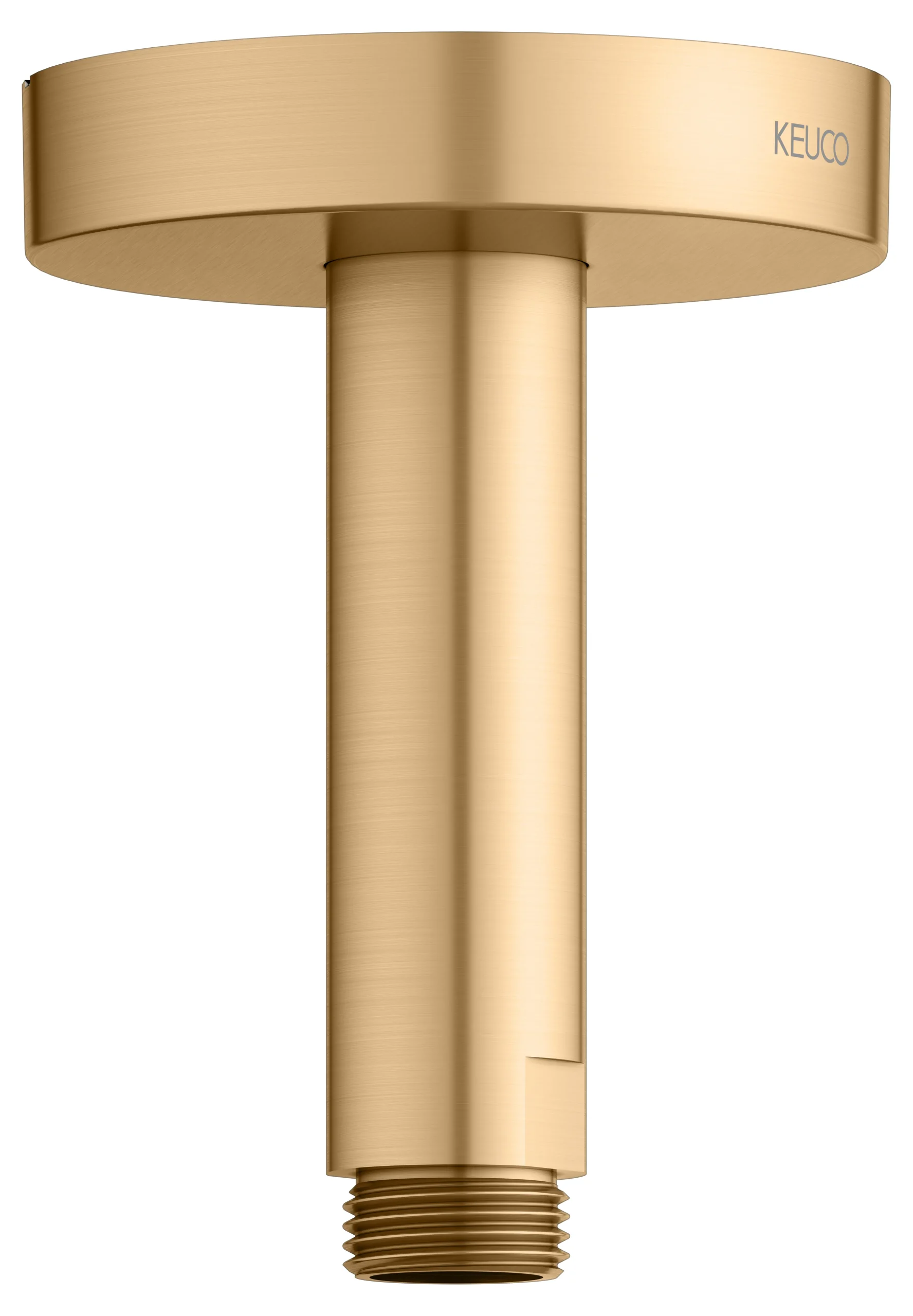 Brausen und Brausezubehör Brausearm Deckenanschluss 100 mm Messing gebürstet rund