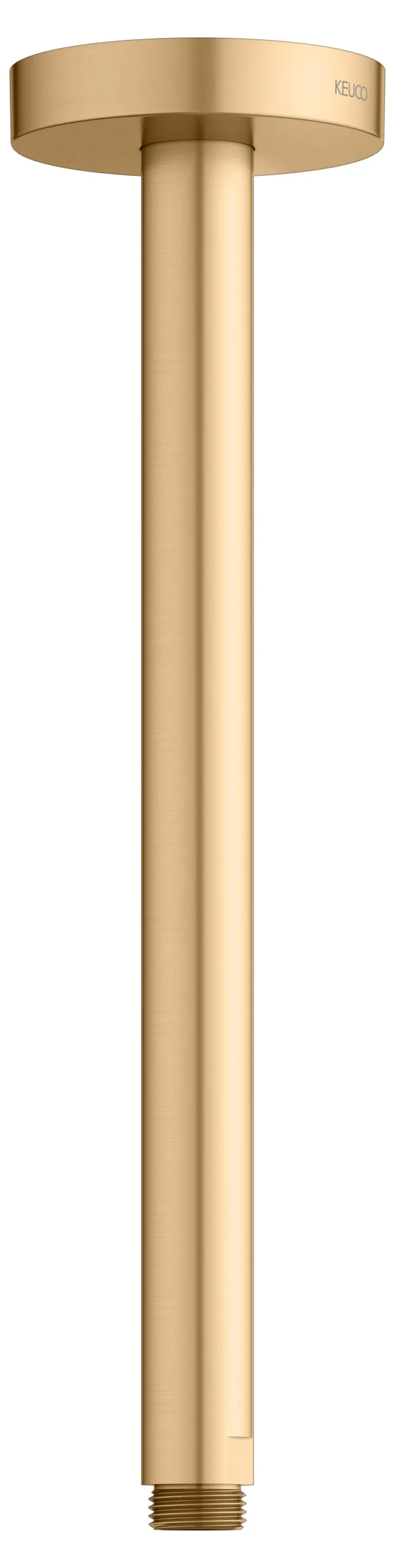 Brausen und Brausezubehör Brausearm Deckenanschluss 300 mm Messing gebürstet rund