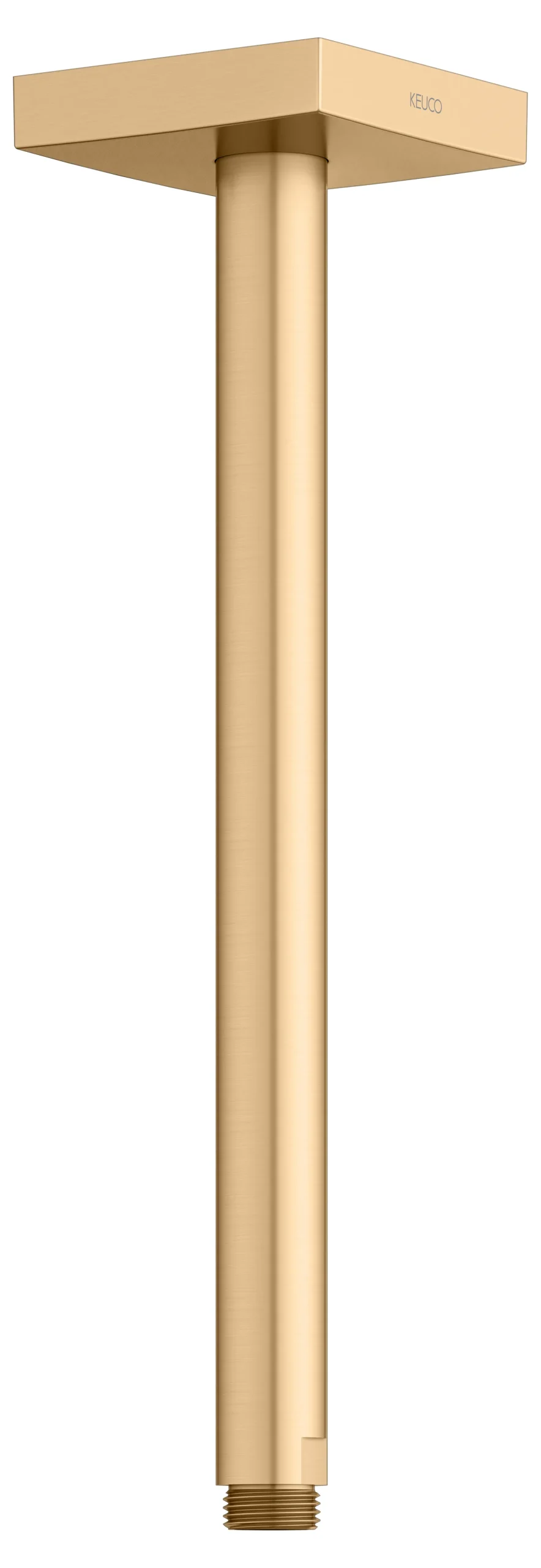 Brausen und Brausezubehör Brausearm Deckenanschluss 300 mm Messing gebürstet