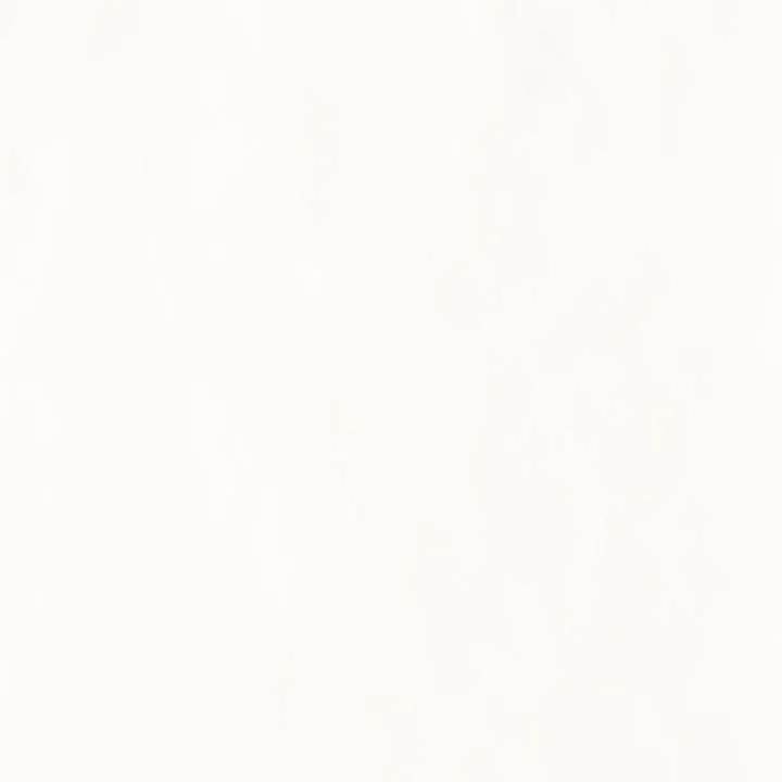 PANARIA FLIESEN EVEN SNOW NATURAL REKTIFIZIERT 35X100