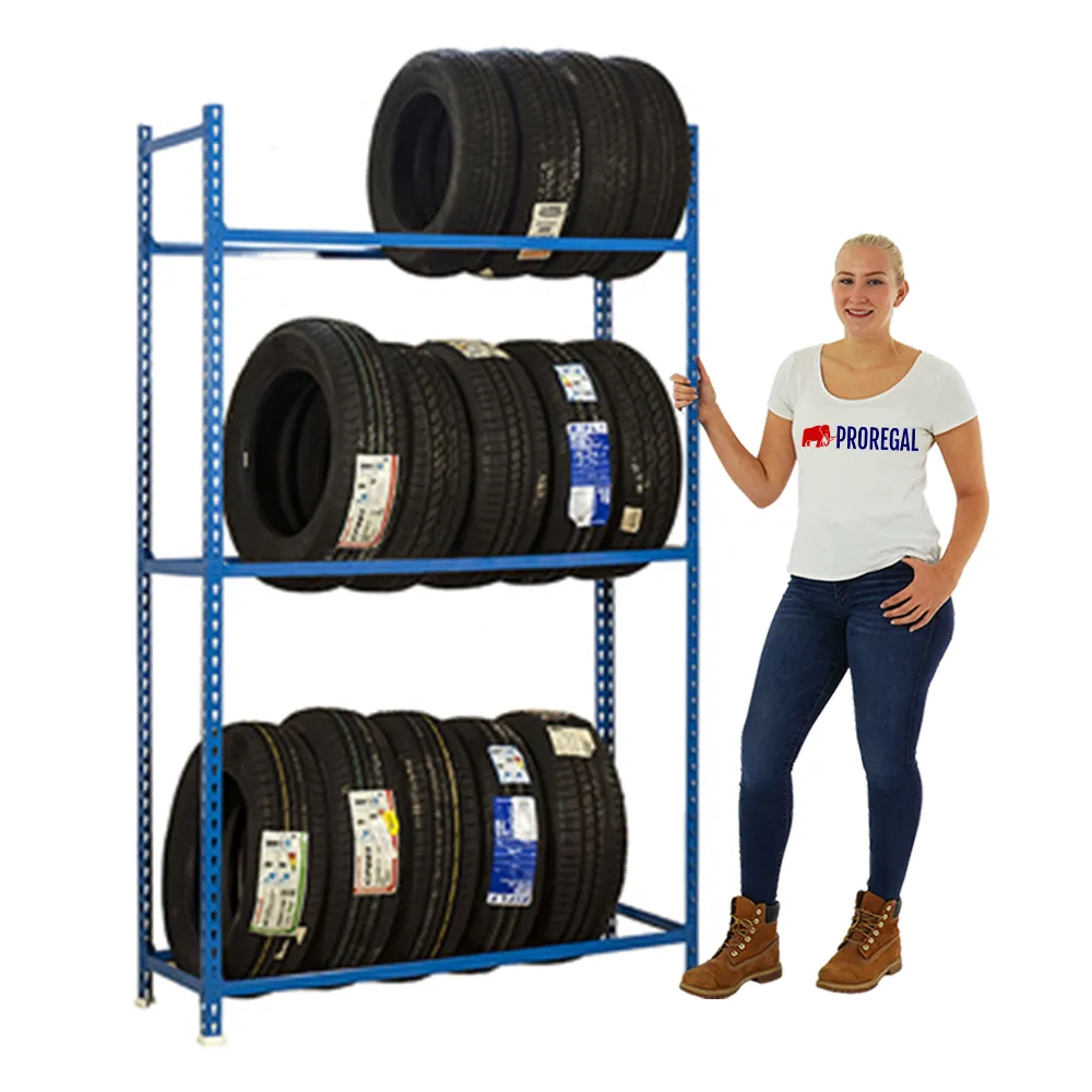 Reifenregal METAL SHARK NO.1 | HxBxT 200x100x40cm | 3 Ebenen | 12 Reifen | Blau