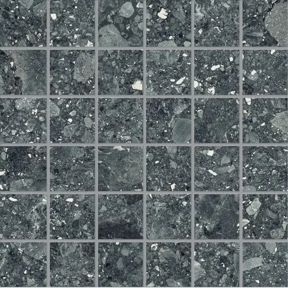 ERGON LOMBARDA MOSAICO NERO LAPPATO 30X30